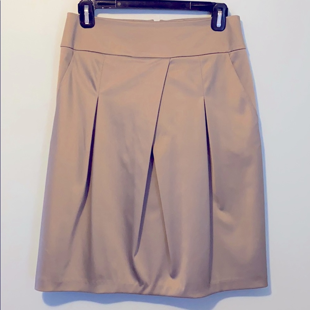 Satin Look Pleated Skirt